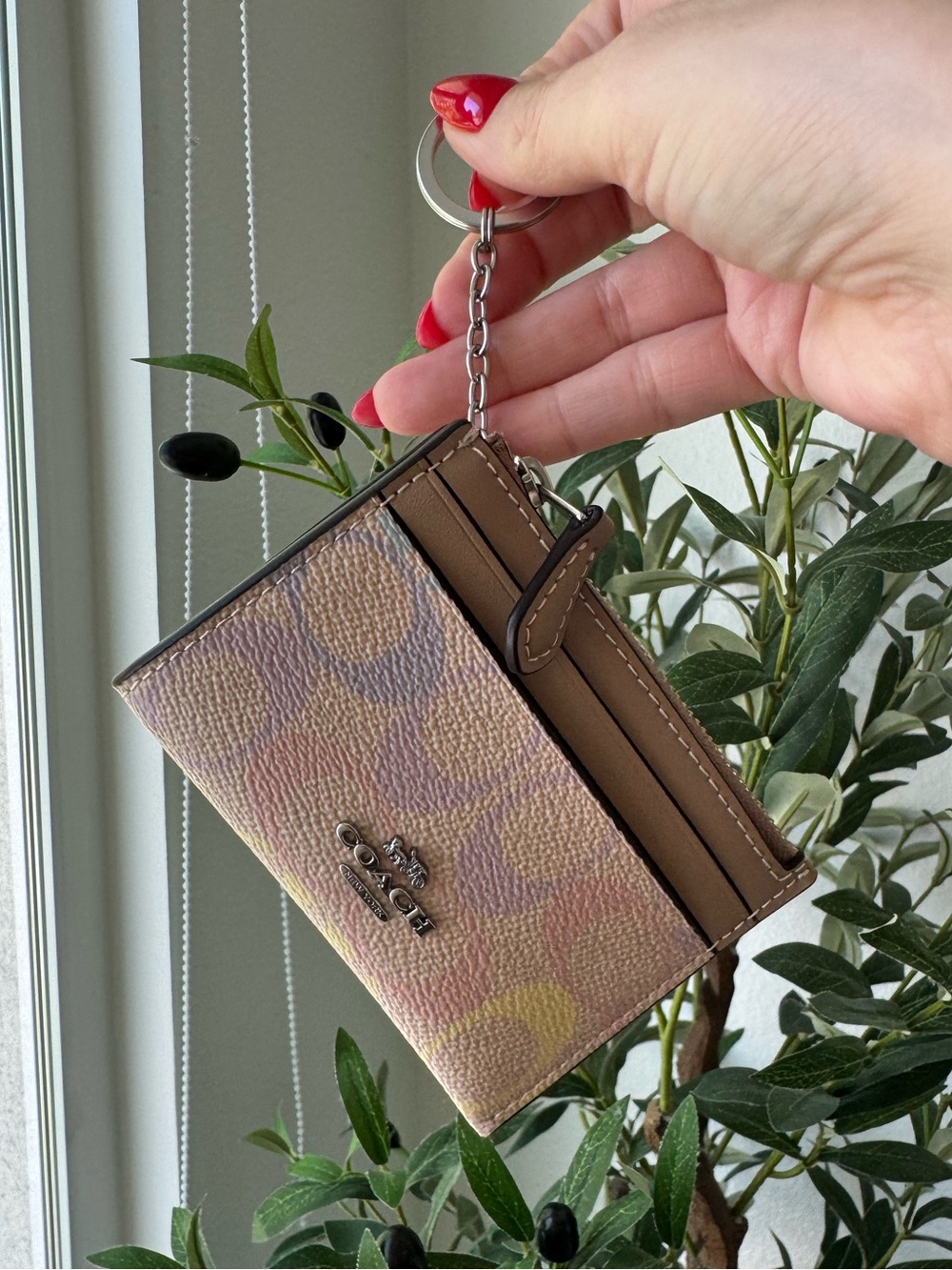 Coach Pastel Rainbow Multicolor Signature ID Card Case with Taupe Trim